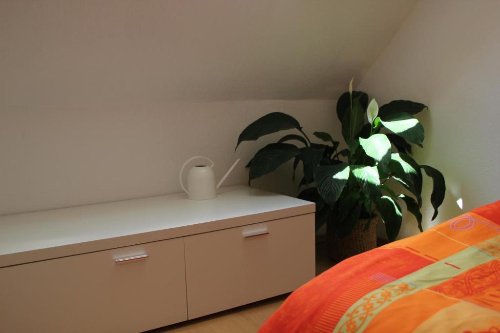 Stella Apartments Am Erfurter Dom Room photo